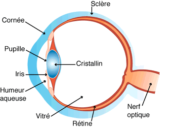 cataracte-120397.gif null